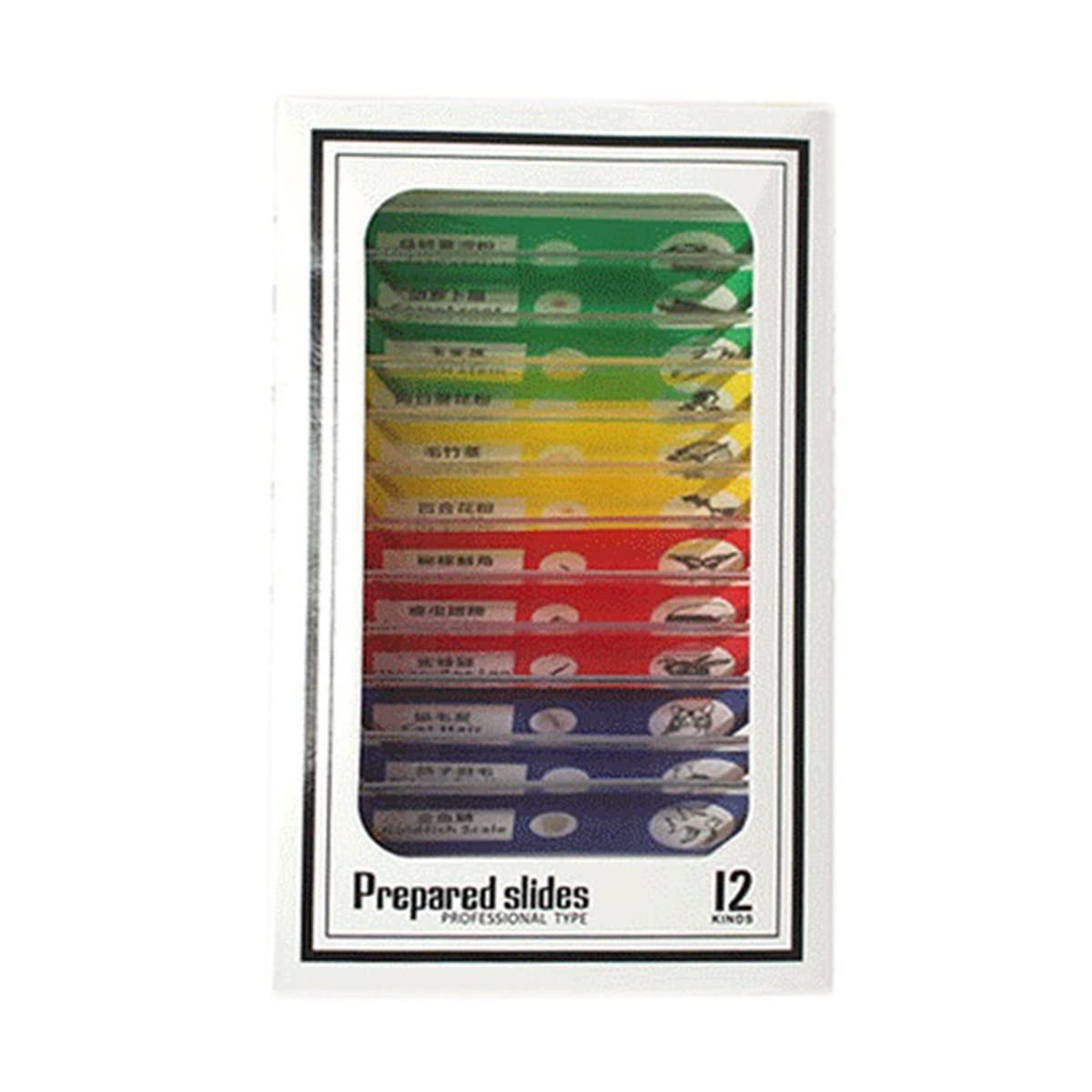 Boîte de 12 Spécimens