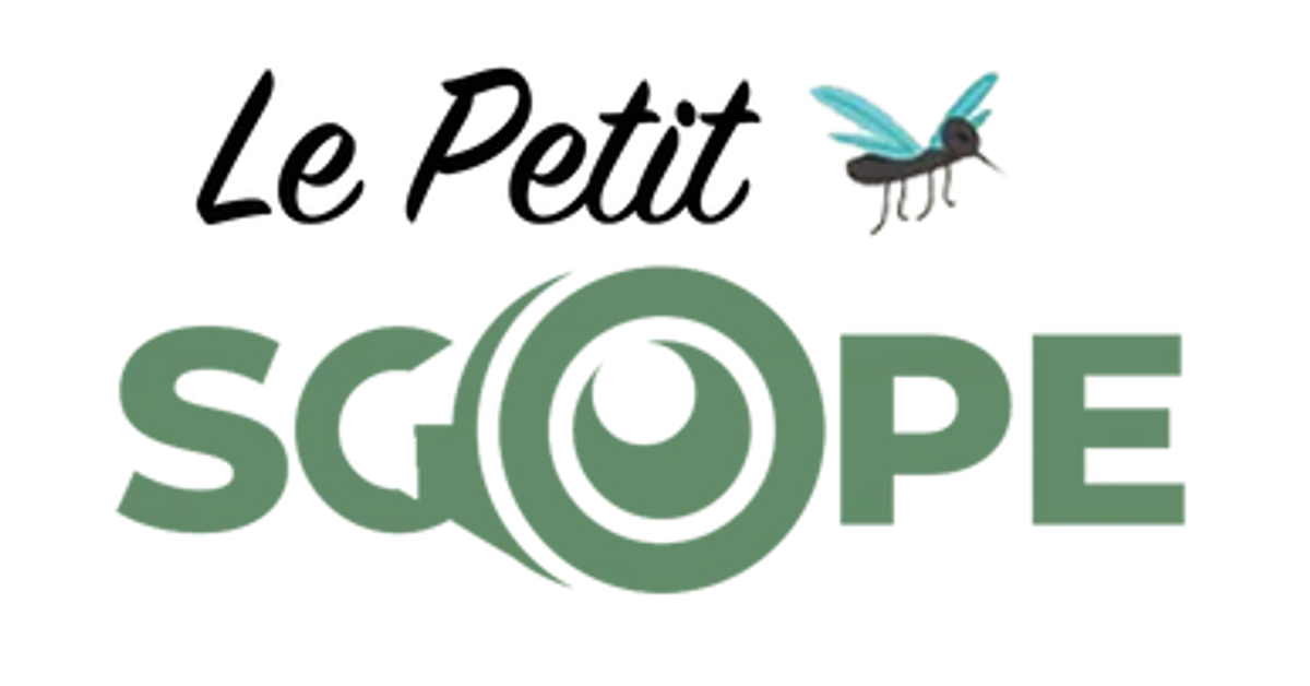 Le Petit Scope